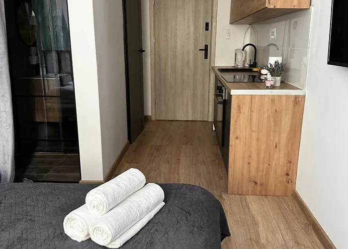 Niron Dabrowskiego Apartament